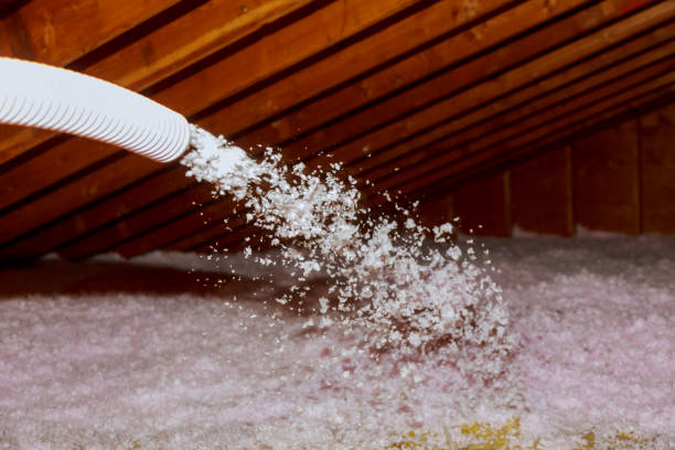 Best Insulation Removal  in Cabool, MO