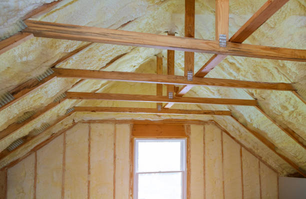 Best Insulation Replacement Services  in Cabool, MO