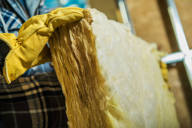 Best Garage Insulation Installation  in Cabool, MO