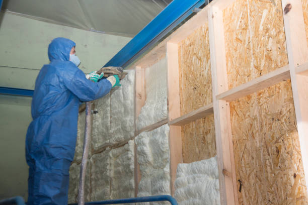 Best Insulation Replacement Services  in Cabool, MO