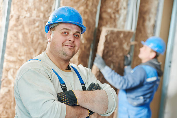 Best Insulation Contractor Near Me  in Cabool, MO
